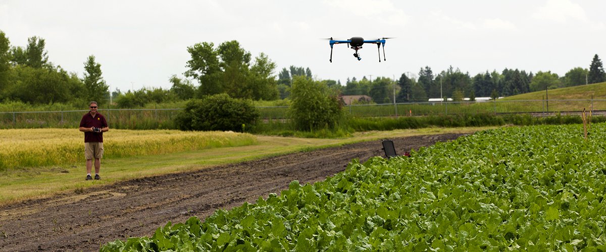 Ian MacRae flies a drone over a soybean field