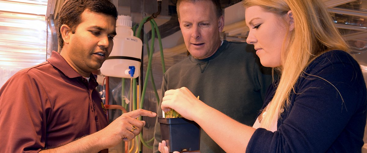 Three people looking at a plant in a lab